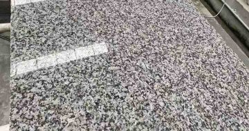 南阳 芙蓉白光面