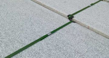 南阳 芝麻白斧剁面