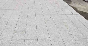 南阳芝麻白地铺案例