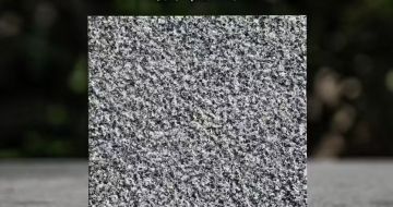 南阳 芝麻黑荔枝面