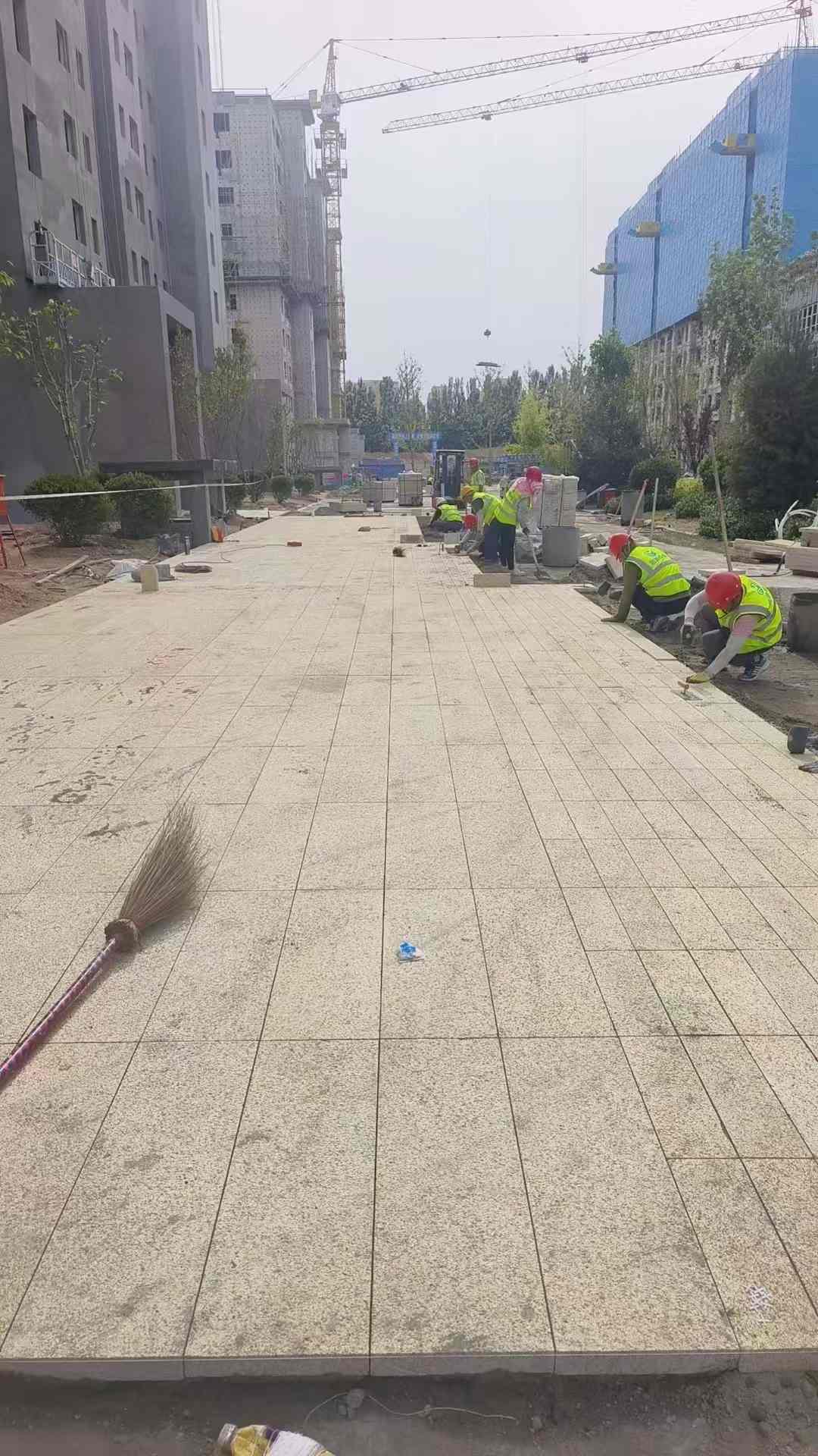 南阳黄金麻荔枝面地铺案例