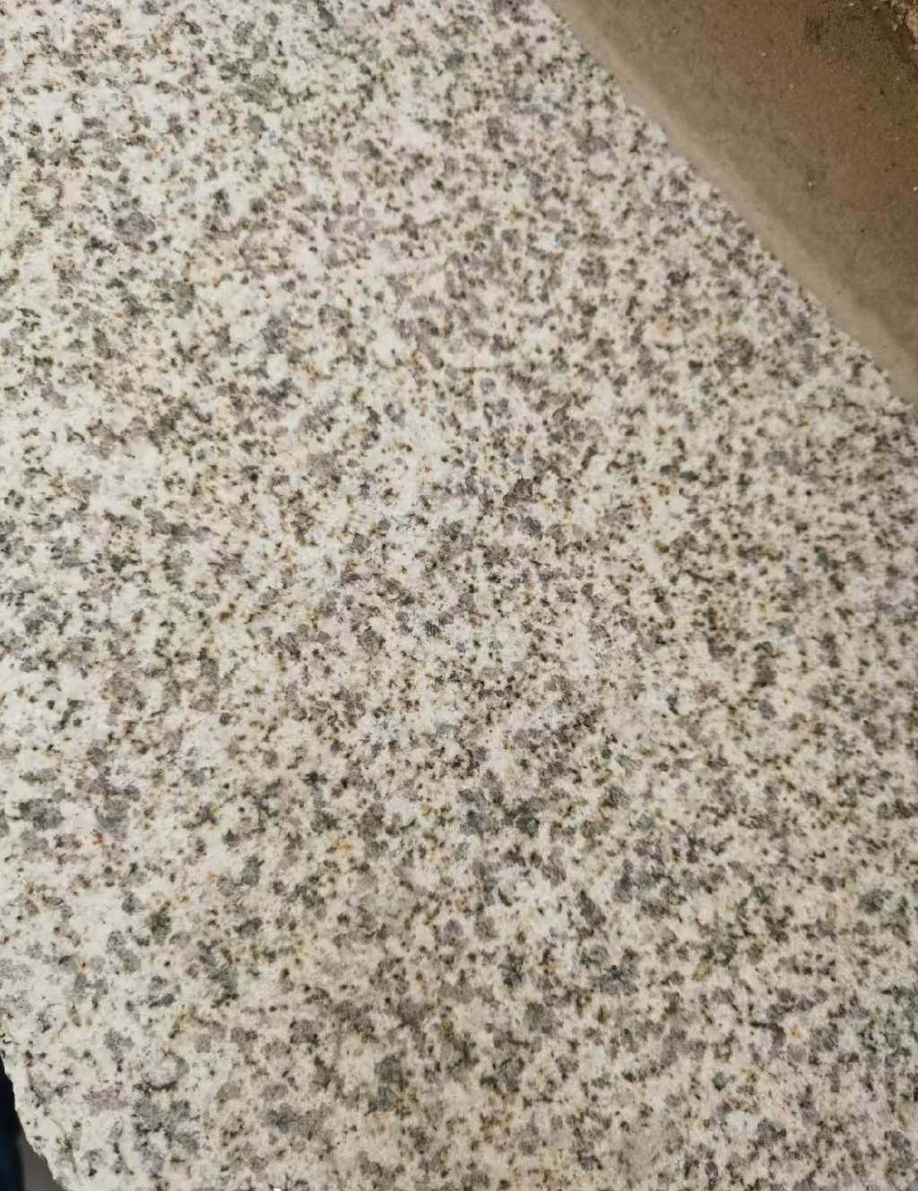 南阳 黄金麻中黄光面
