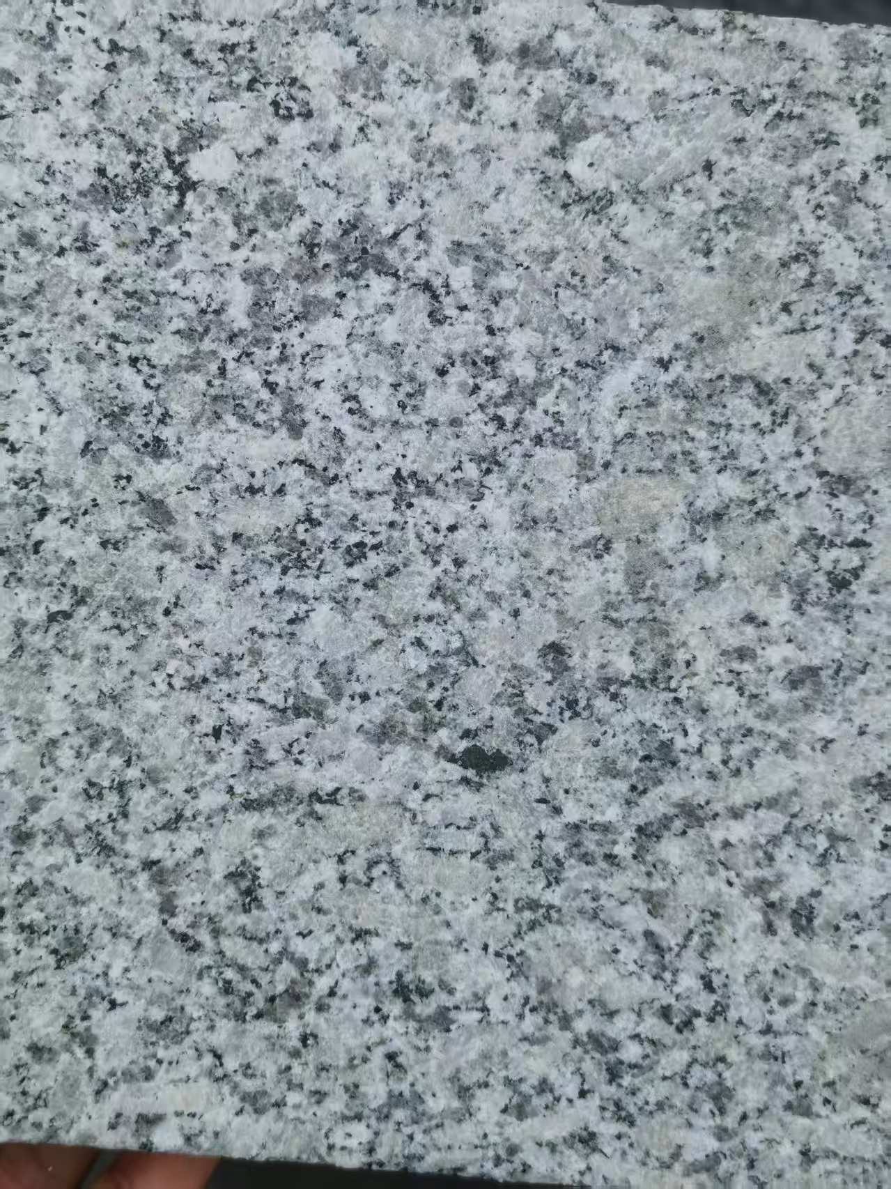 南阳 芙蓉白火烧面